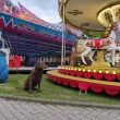 Pou� ���r nad S�zavou