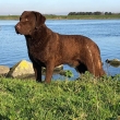 Otec Geryho